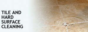 Tile and Grout Cleaning Mobil site