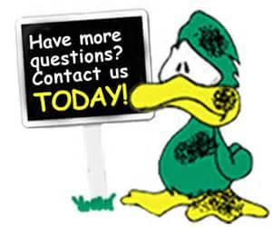 Contact Courteous Carpet Care today