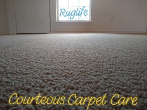 Carpet cleaned by Courteous Carpet Care for the coupons site.